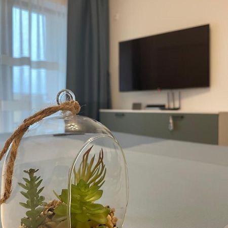 New Studio 皮特什蒂 外观 照片