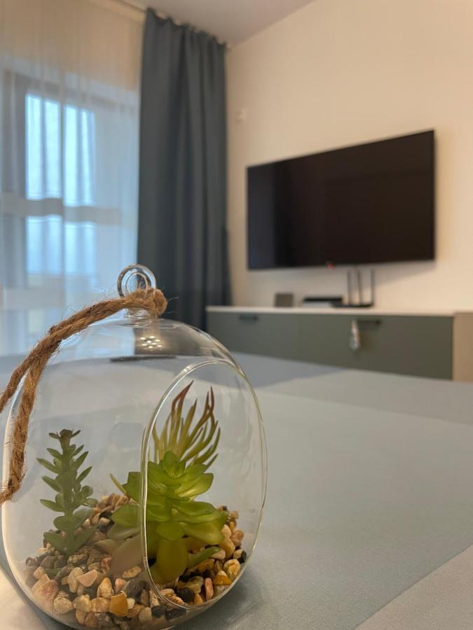 New Studio 皮特什蒂 外观 照片